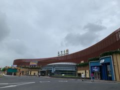 -爱丽丝冒险奇遇记
