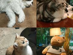 -咖法森林·咖啡  酒吧(天河店)