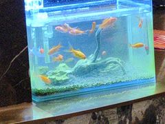 -华夏良子·足道SPA艾灸(铁道大厦店)