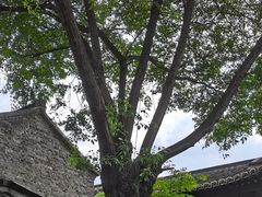 -东关街美食广场