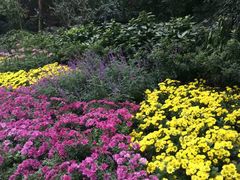 -西湖外事游船(花港观鱼码头)