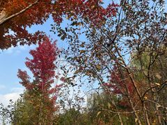 -回龙观体育文化公园