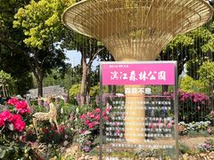 -上海滨江森林公园