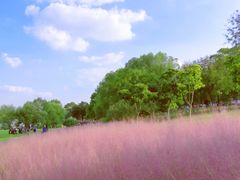 -钟山体育运动公园