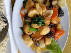 日本豆腐-真浪花园海鲜餐馆