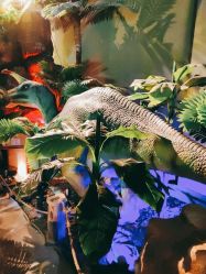 -恐龙探索乐园(磁器口店)