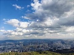 -长虫山生态公园风景林