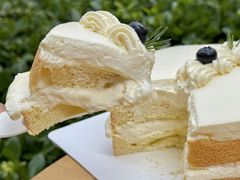 -杜哈夫DOUX RÊVE·生日蛋糕(日月光店)
