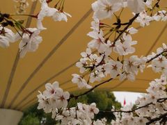 -江南大学(蠡湖校区)