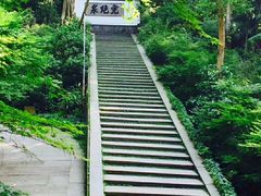 -宋宴(虎跑店)