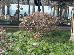 -柳莺湖上·湖景餐厅·江南菜(西湖店)