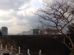 -新世界百货(明洞总店)