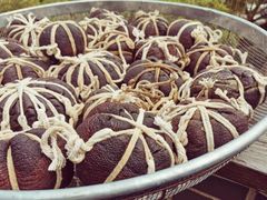 大橘柑-心无尘茶餐馆(径山村店)