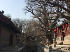 -晋祠公园