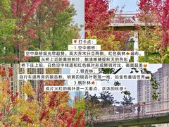 -西北轻工批发市场