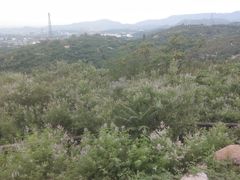 -白水寺森林公园