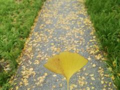 -昆山城市生态森林公园