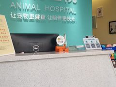 -美迦爱-牙专科·兔科·骨科诊疗中心(北苑店)