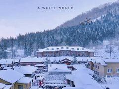 -玉泉威虎山森林公园