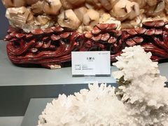 -湖南省地质博物馆