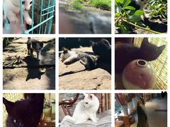 -驿舍·民國老营房院子私房菜(科学会堂店)