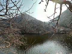 -金龙寺国家森林公园