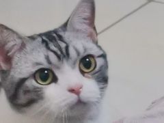 -子乐宠物医院