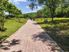 -白水寺森林公园