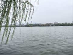 -济南大明湖景区