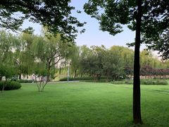 -达活泉公园