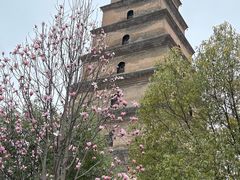 -大慈恩寺(大雁塔)