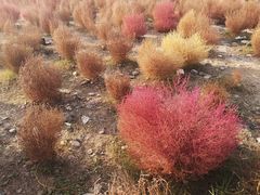 -映月湖中央公园