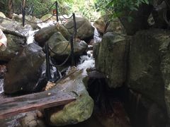 -呀诺达热带雨林