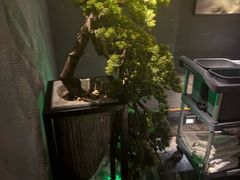 -大桶大足浴(顺义路店)