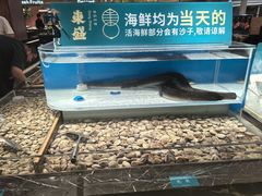 -東盛炭烤自助料理(玄武招商花园城店)
