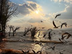 -河南省体育场馆中心游泳馆