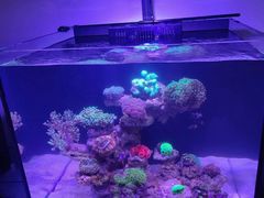 -Rabbit Cafe私房西餐甜点咖啡(栖霞路店)