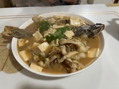 -煲来饱去冷水鱼
