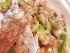 砂锅啫牛蛙煲-新旺茶餐厅(嘉里城店)
