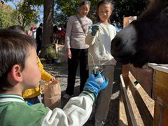 -HERRE·FARM 赫尔露营农场·团建聚会包场