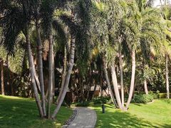 -海南清水湾莱佛士酒店