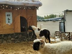 -HERRE·FARM 赫尔露营农场·团建聚会包场