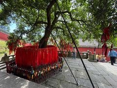 -武当山风景区-太子坡
