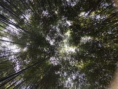 -竹泉村旅游度假区