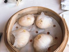 天龙至尊虾饺-天龙轩(香港丽思卡尔顿酒店)