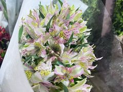 -循礼门鲜花花市(武汉循礼门店)