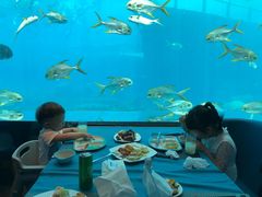 -瑞德姆美人鱼海底演艺主题餐厅(亚龙湾店)