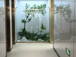 -华美整形美容医院