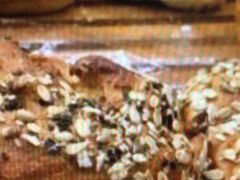 -苹果花园(金耀南路店)