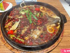 -老板恋上鱼(恒隆广场店)